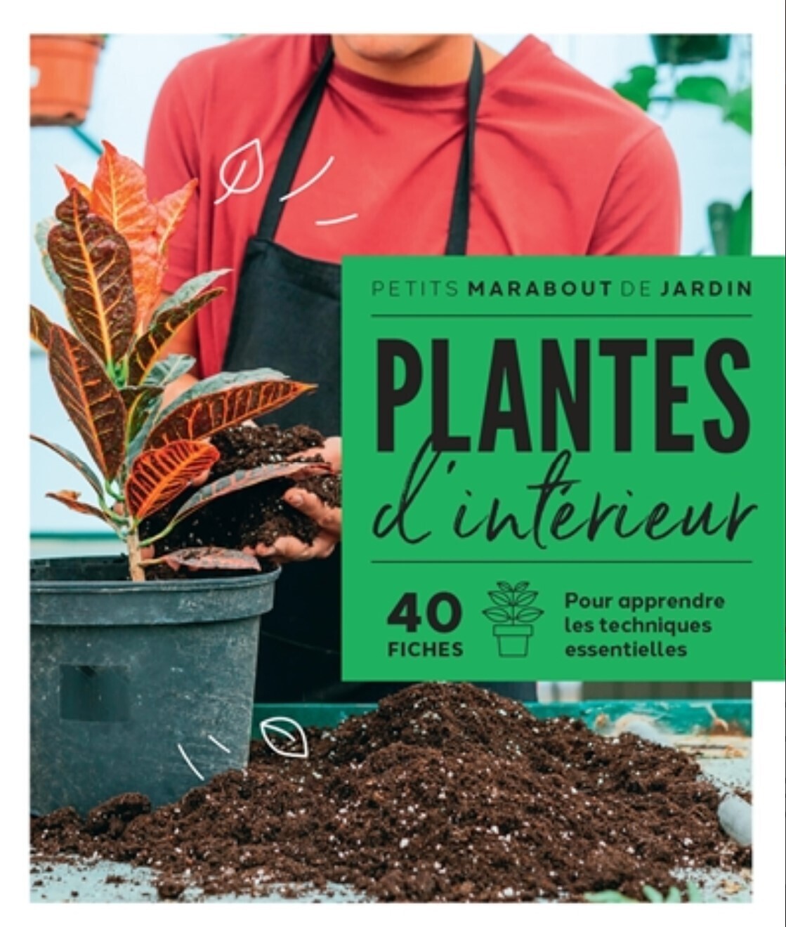 Plantes d&#39;intérieur : 40 fiches pour apprendre les techniques essentielles - Claire Pinson