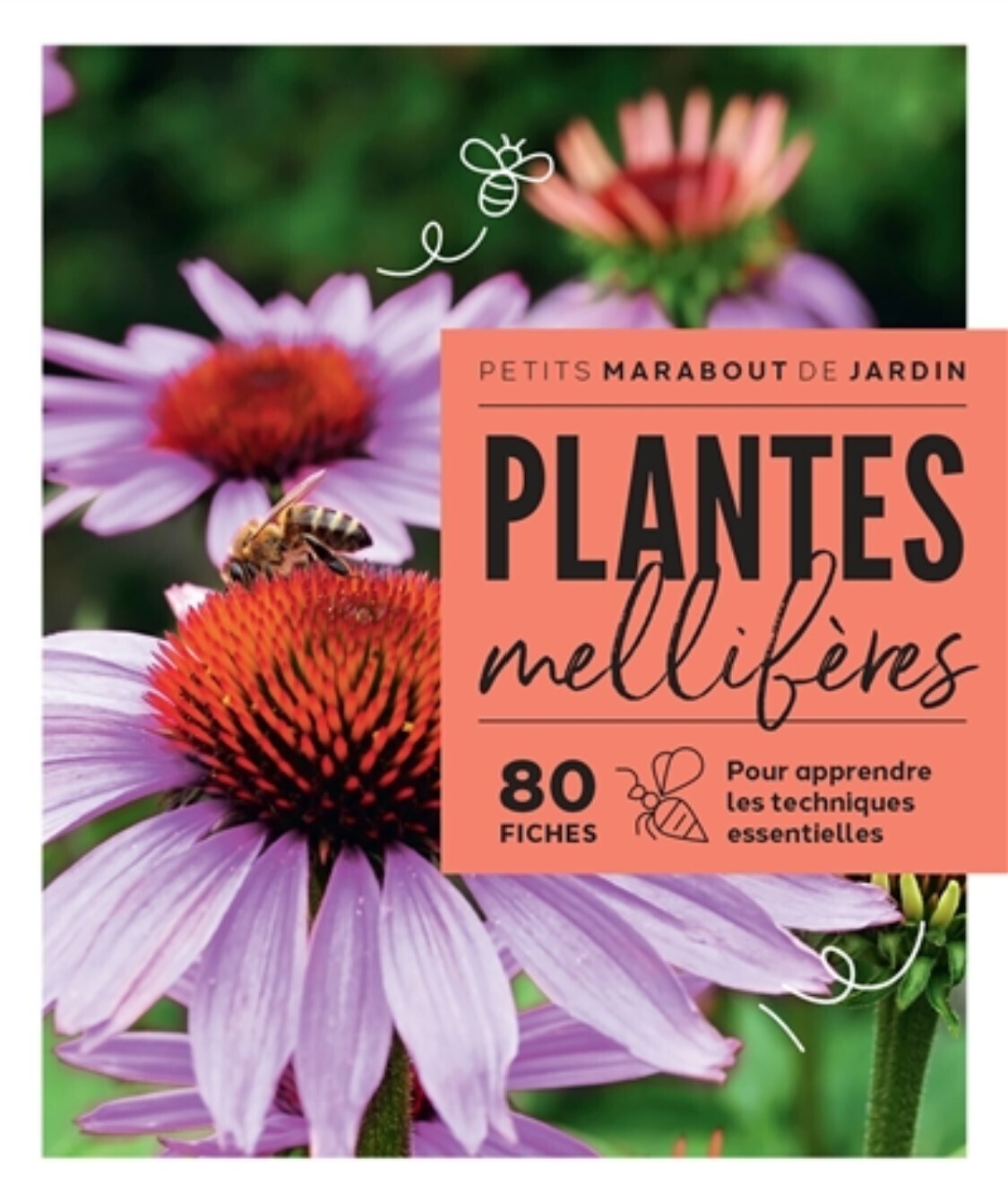 Plantes mellifères : 80 fiches pour apprendre les techniques essentielles - collectif - À PARAÎTRE MAI 2024