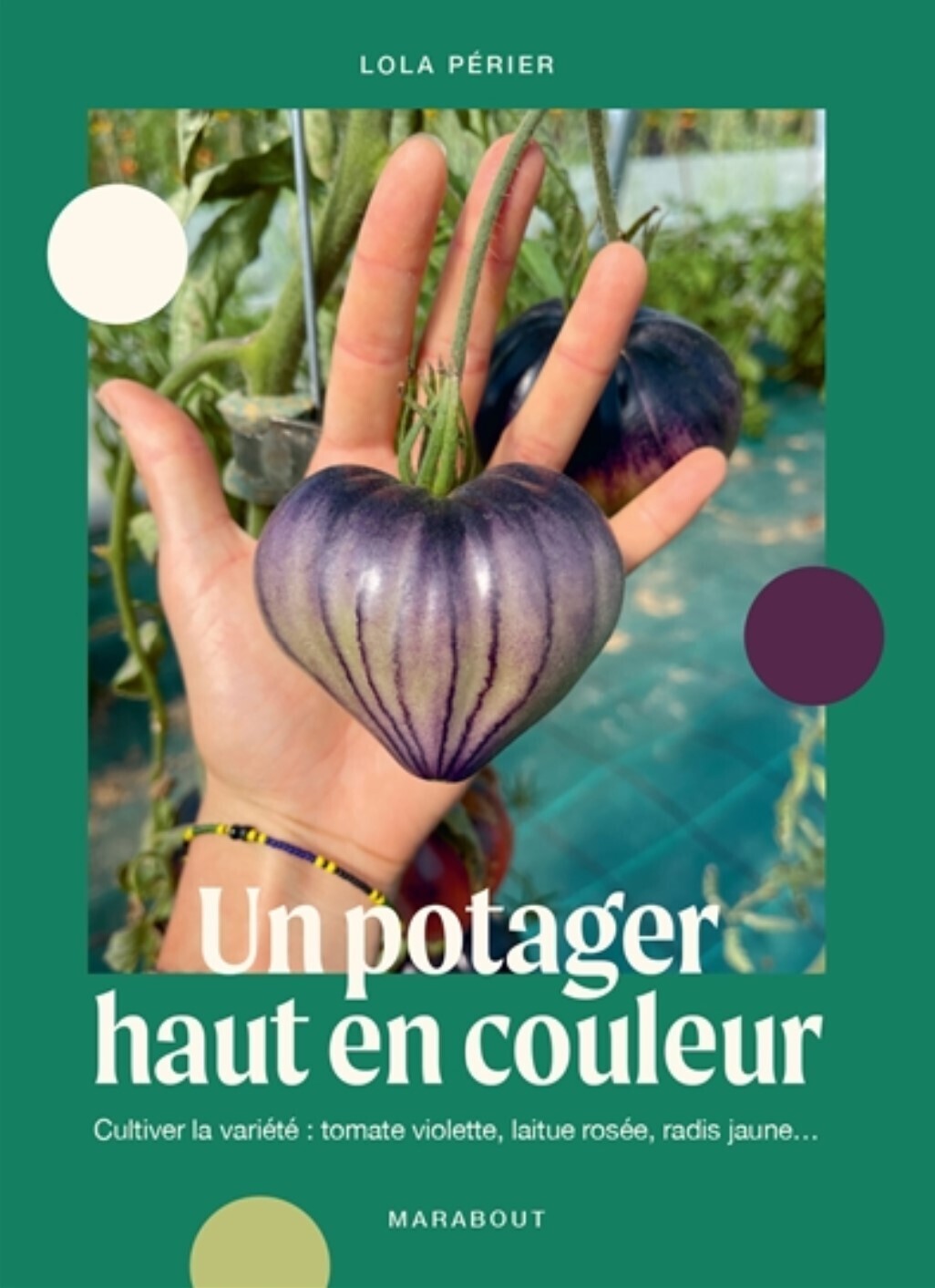 Un potager haut en couleur : cultiver la variété : tomate violette, laitue rosée, radis jaune... Lola Pillu Perier