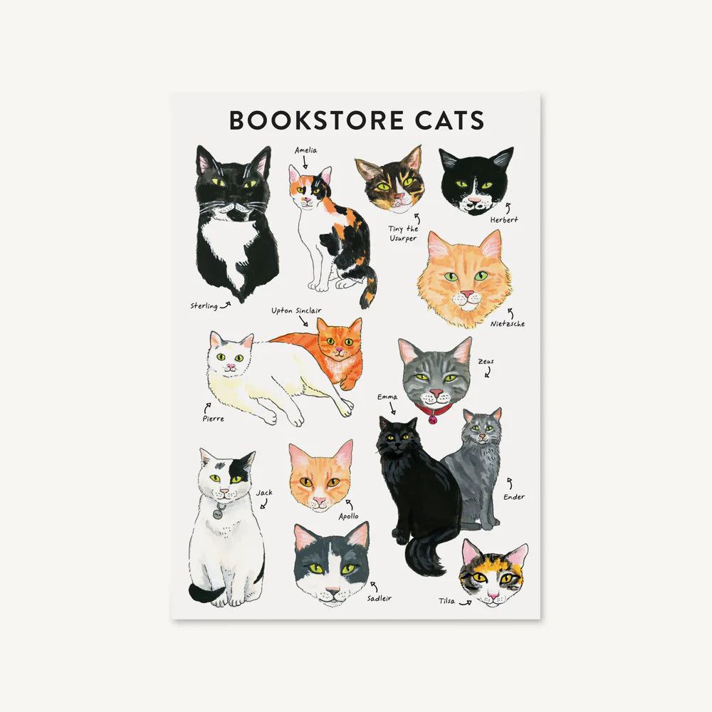 Journal flexible &quot;Bookstore Cats&quot;