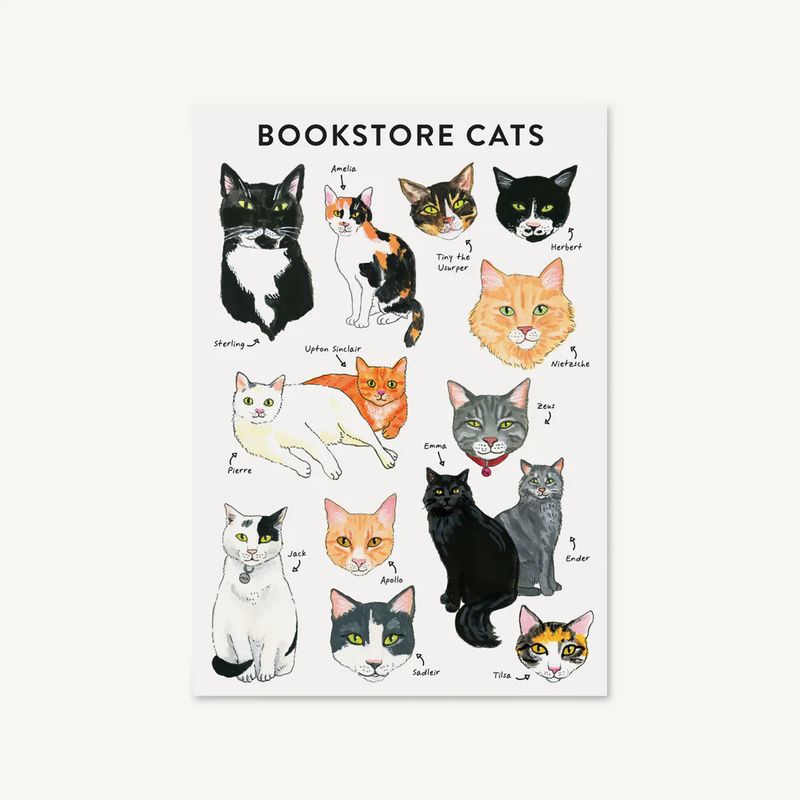 Journal flexible &quot;Bookstore Cats&quot;