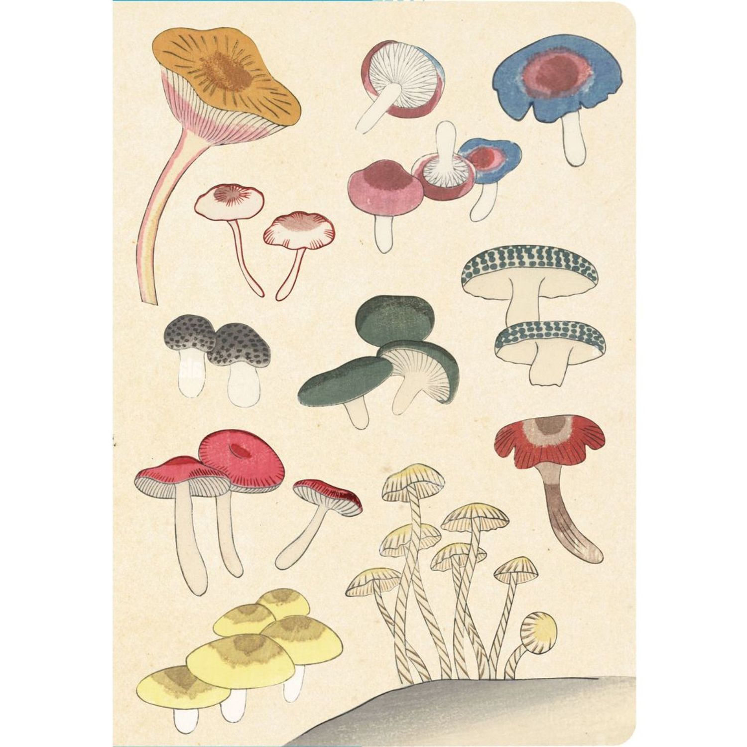 Healing Mushrooms Lined Paperback Journal