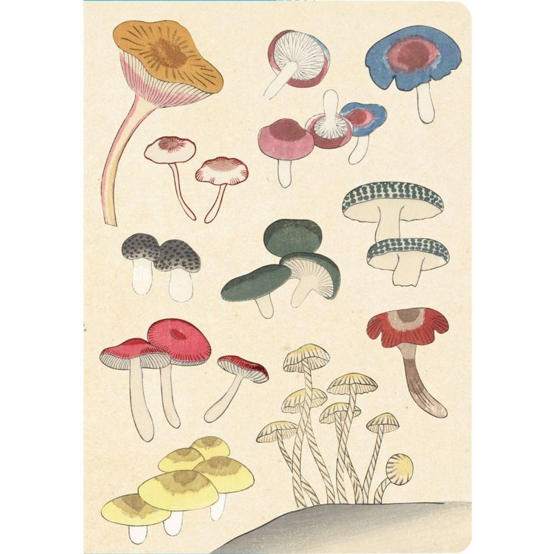 Healing Mushrooms Lined Paperback Journal