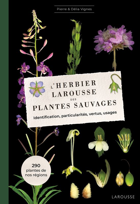 L&#39;Herbier des plantes sauvages - Pierre VIGNES, Délia VIGNES