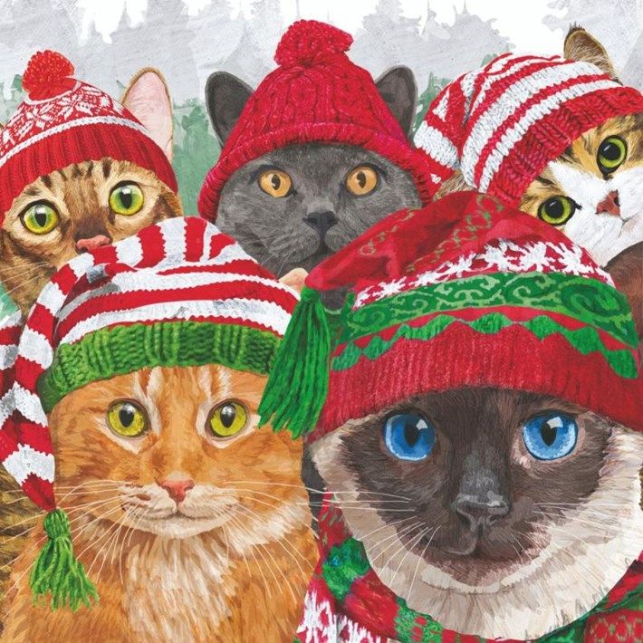 Napkins Chats de Noël - PPD