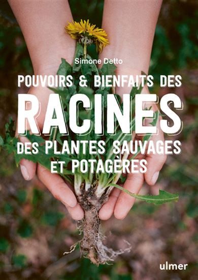 Pouvoirs &amp; bienfaits des racines des plantes sauvages et potagères : infusions, fumigations, pommades, recettes gourmandes - Simone Detto