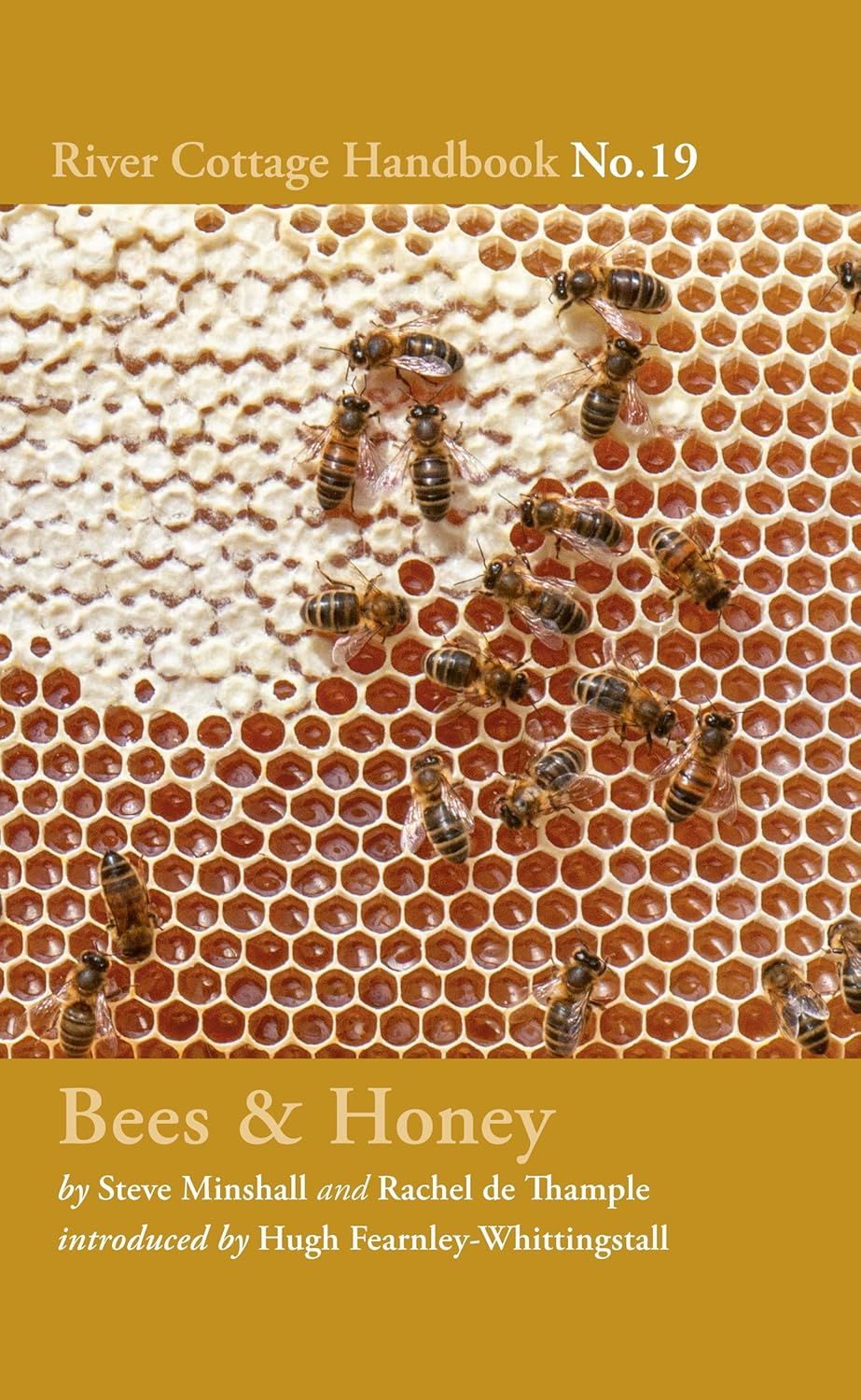Bees &amp; Honey: River Cottage Handbook No.19 - Rachel de Thample - À PARAÎTRE EN JUIN 2025