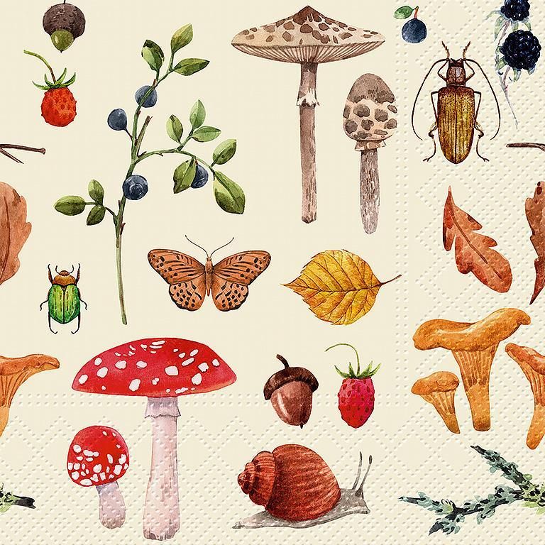 Napkins carrées (20) botanique forestières - PAW