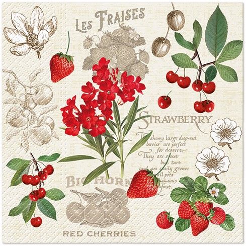 Napkins carrées (20) fruits de l&#39;été - PAW