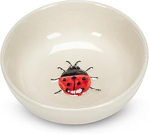 Petit bol coccinelle au centre - Abbott