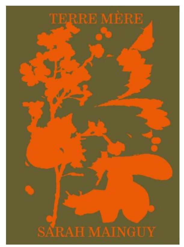 Terre Mère - SARAH MAINGUY-  A PARAITRE Janvier 2026
