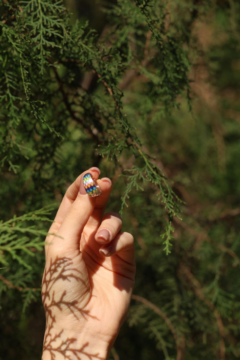 E-commerce Product Image