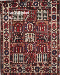 Persian Bakkhtiari
