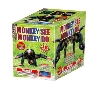 Monkey See Monkey Do