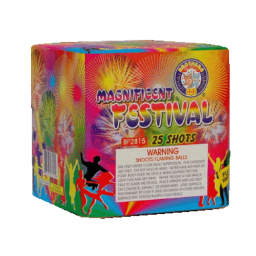 Magnificent Festival