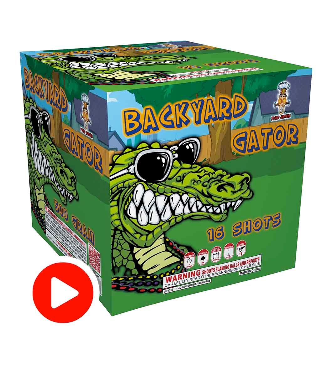 Backyard Gator