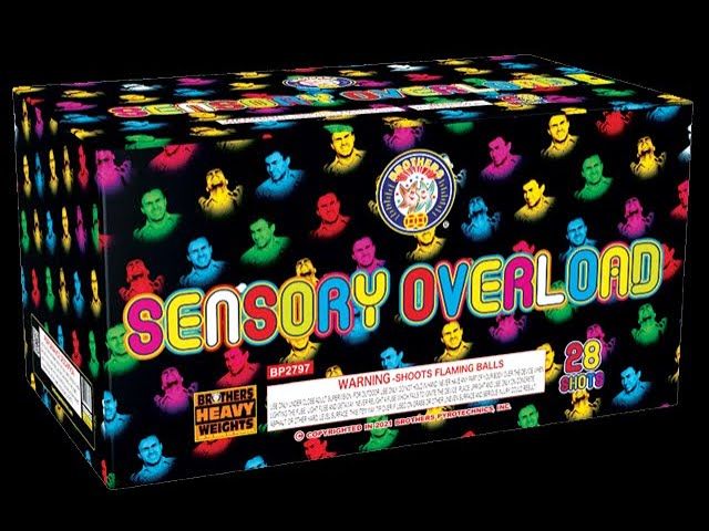 Sensory Overload