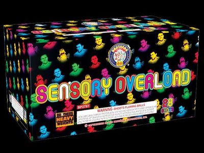 Sensory Overload