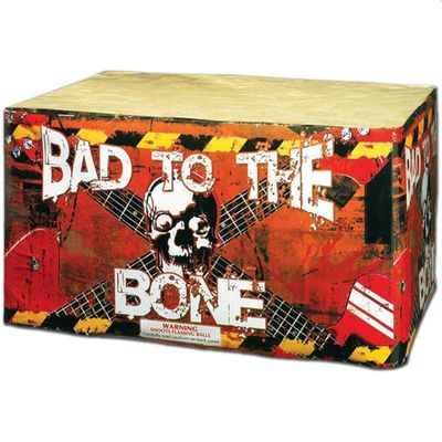 Bad To The Bone Bad To The Bone