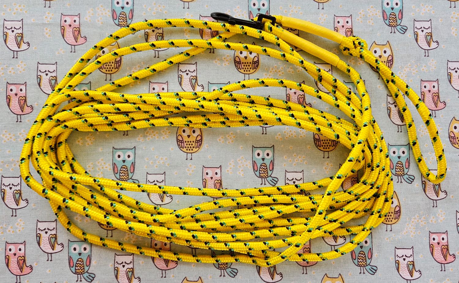 Long line leash 9M