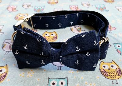 Sailor collar large