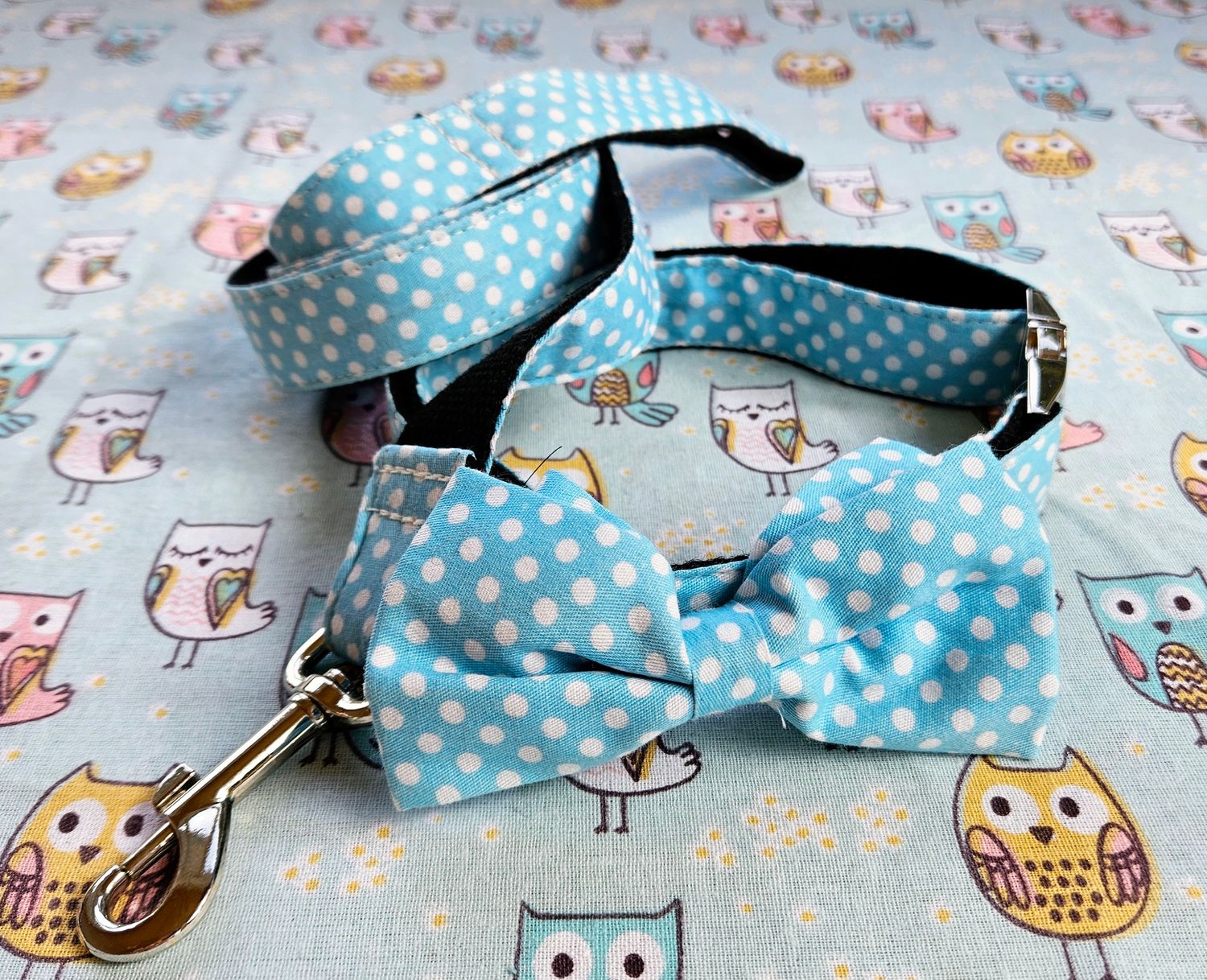 Blue polka dot collar + leash set large
