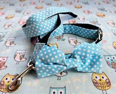 Blue polka dot collar + leash set large