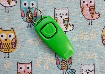 Clicker &amp; whistle
