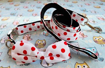 White &amp; red polka dot collar + leash sets