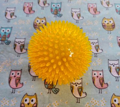 Squeaky ball