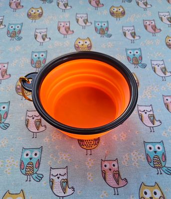 Travel bowl