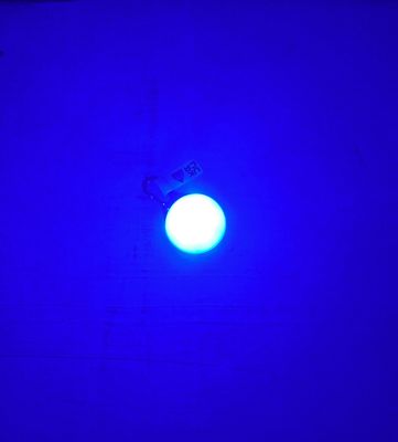 Collar light