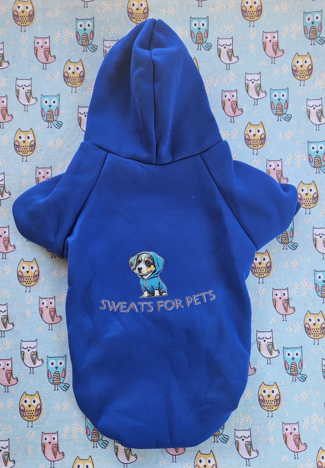 Blue SFP hoodie