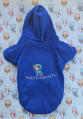 Blue SFP hoodie