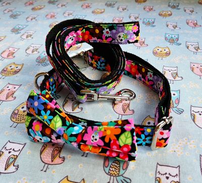 Collars &amp; Leashes