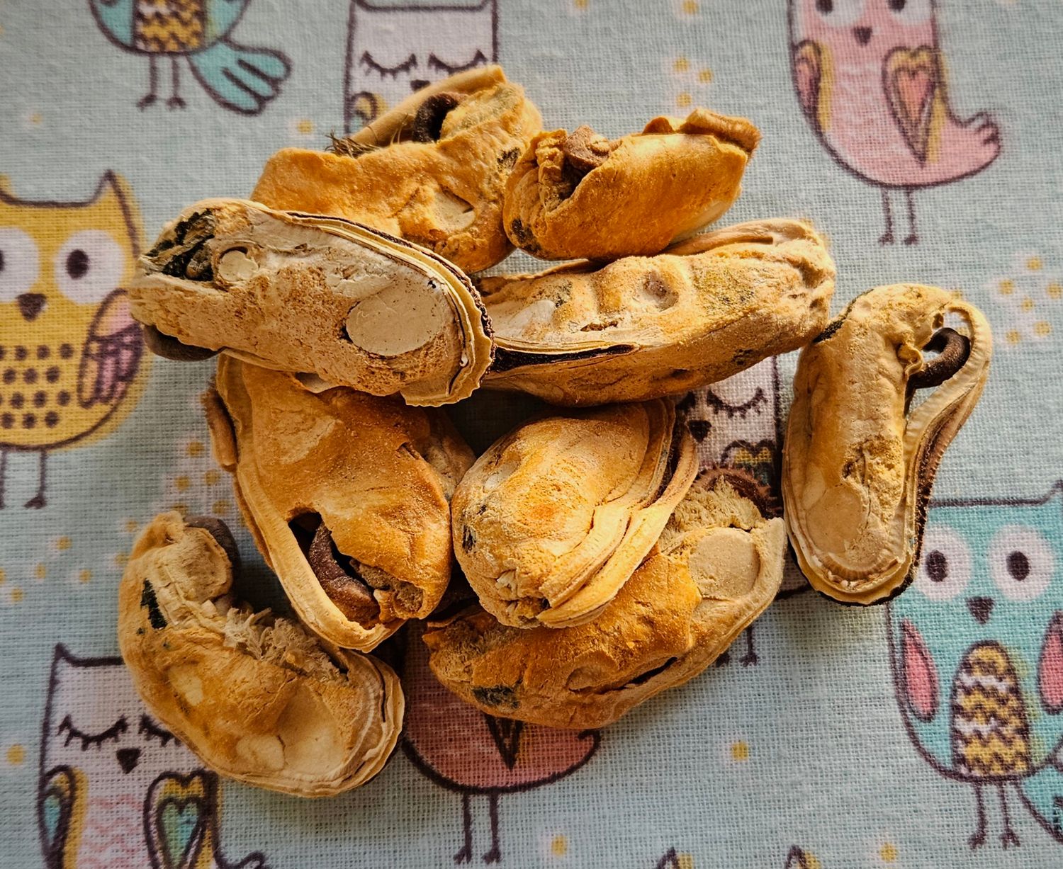 NZ Green lipped mussels 80G
