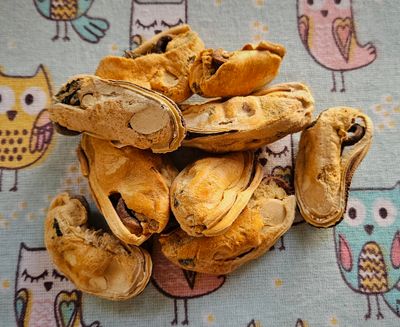 NZ Green lipped mussels 80G