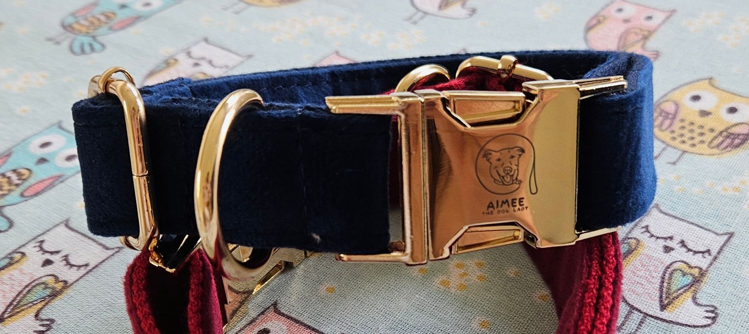 Velvet collar collection Royal blue