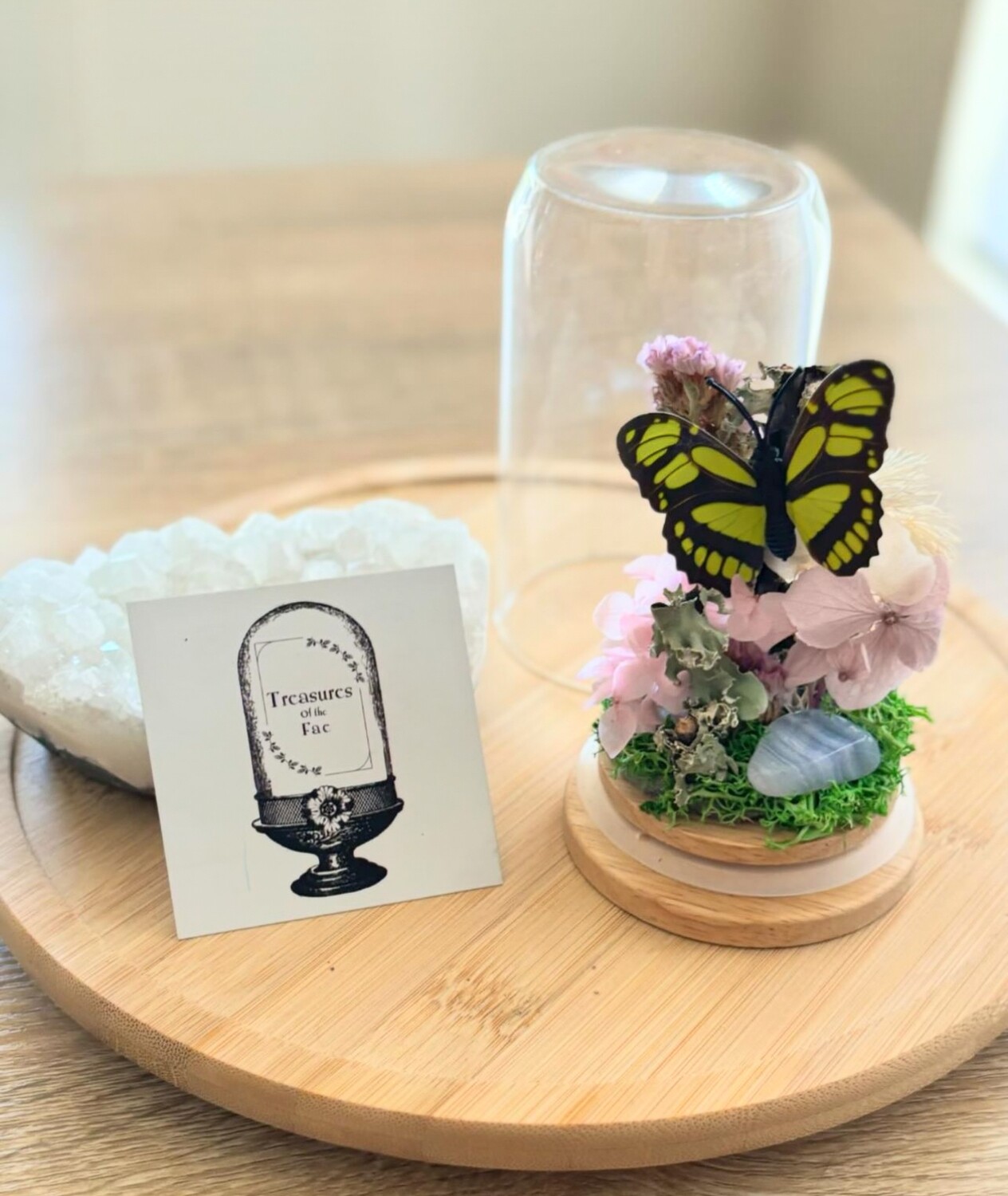 Artificial Butterfly Domes