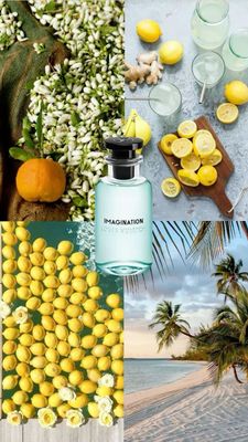 Imagination By Louis Vuitton 100ML (Without Box)