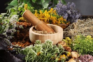 All My Fav Herbs A-Z