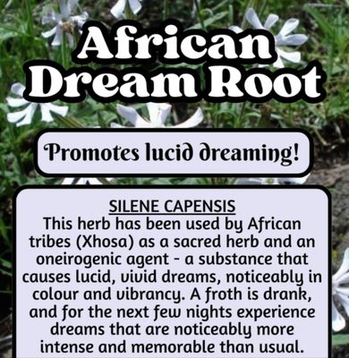 African Dream Root