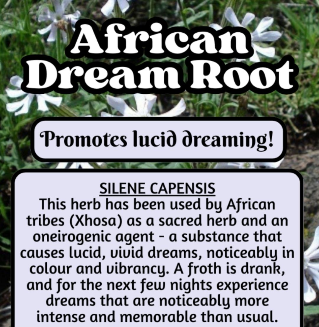 African Dream Root