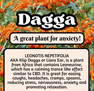 Dagga Flower 