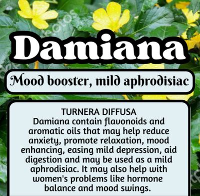 Damiana