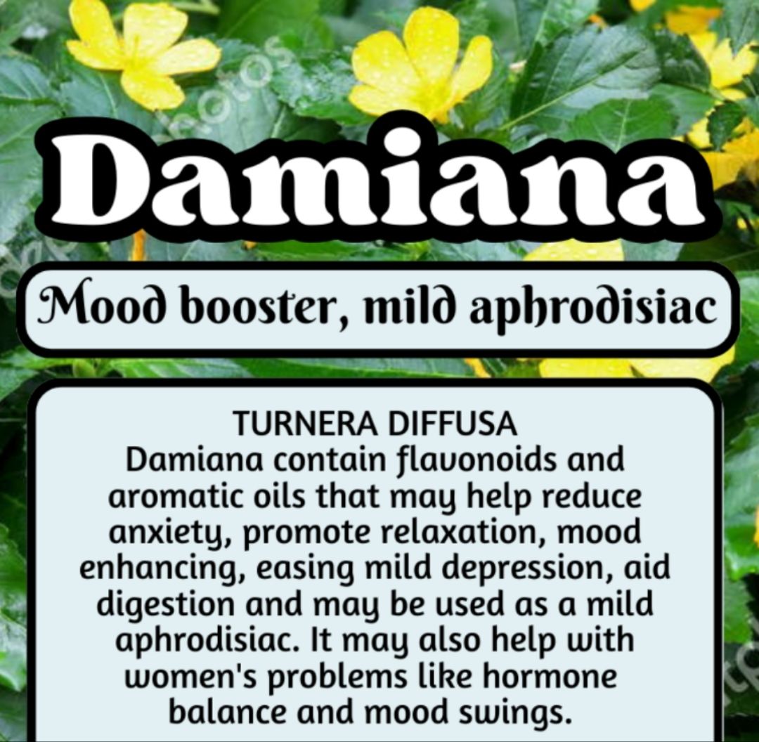 Damiana
