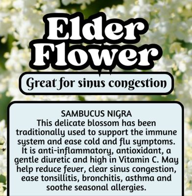 Elder Flower