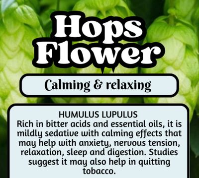 Hops Flower