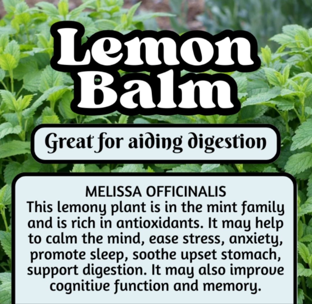 Lemon Balm