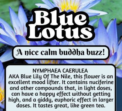 Blue Lotus Flower
